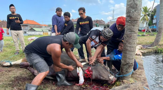 Warga Pasar Kodok Tabanan