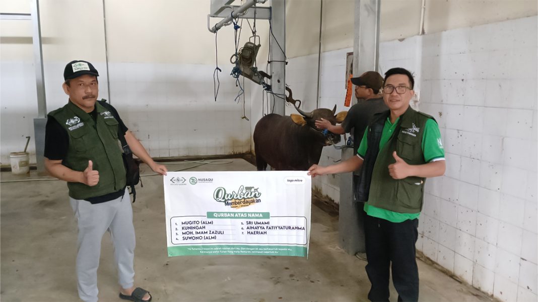Lembaga Amil Zakat Infaq dan Shadaqah Nahdlatul Ulama (NU Care-LAZISNU) PCNU Kabupaten Tabanan menyembelih kurban sapi.