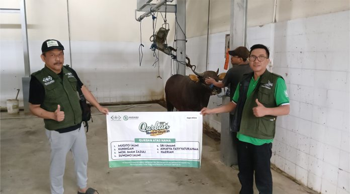 Lembaga Amil Zakat Infaq dan Shadaqah Nahdlatul Ulama (NU Care-LAZISNU) PCNU Kabupaten Tabanan menyembelih kurban sapi.